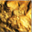 Evolving God Evolving God