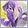 Oakville Ontario Florist Shop Oakville Ontario Florist Shop